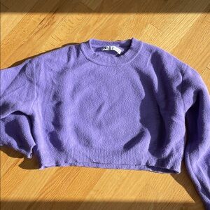 Zara purple cropped sweater.
